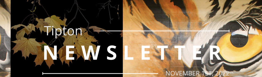 Newsletter